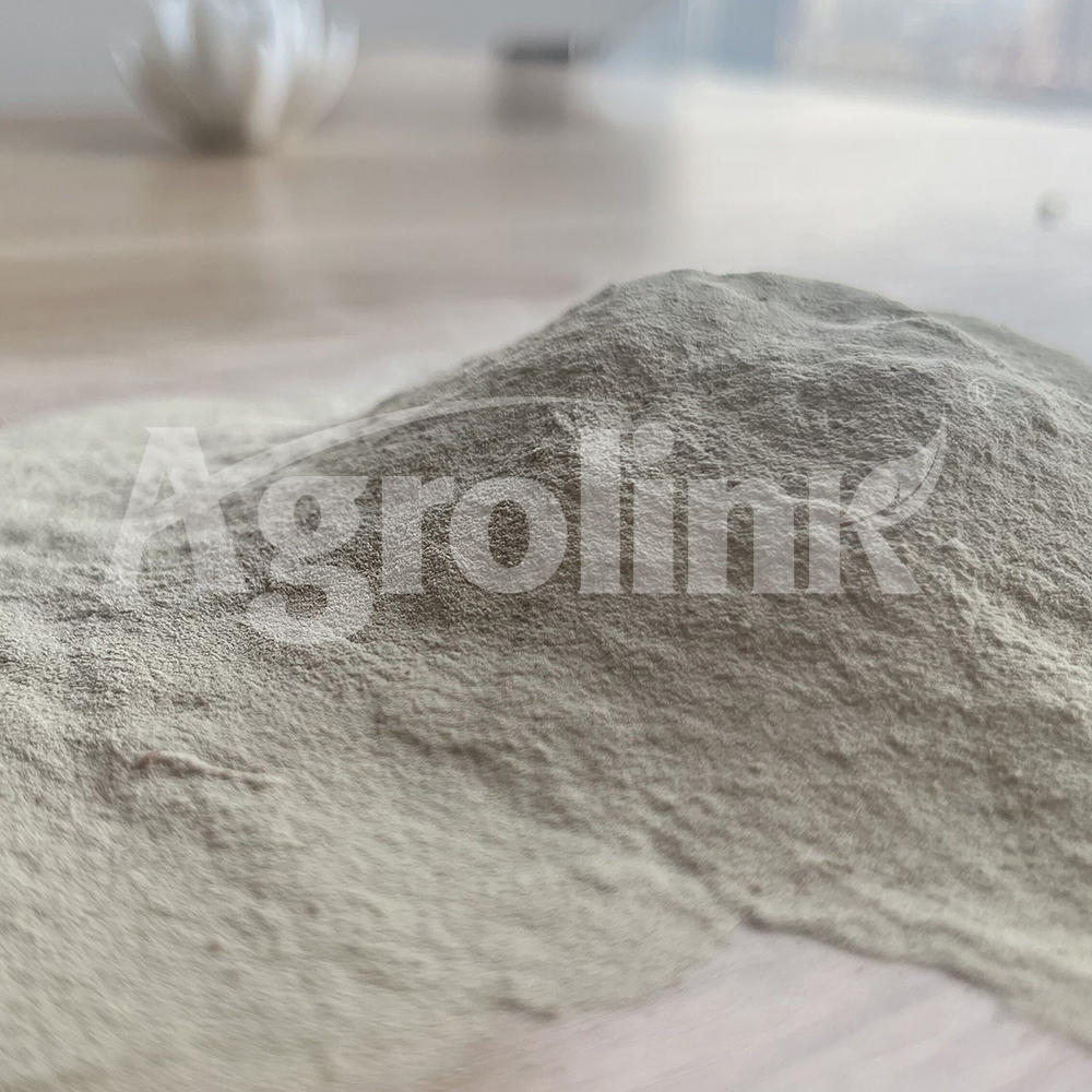 Amino Acid Powder